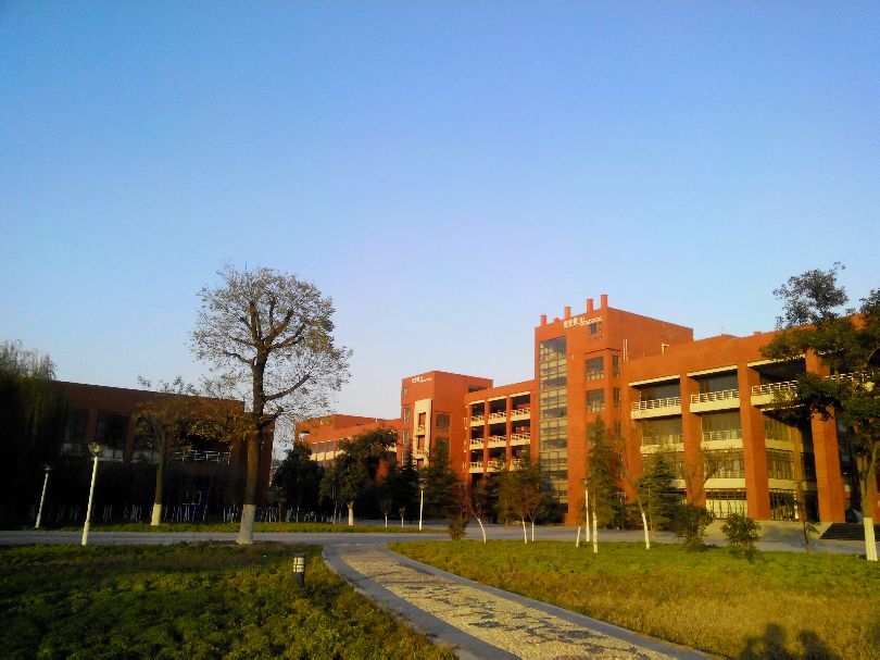 陕西科技大学 绿化