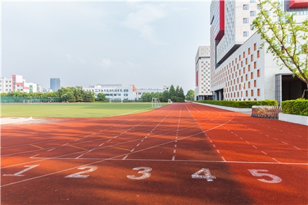 2019年上海市普通高校高水平运动队招生工作的通知
